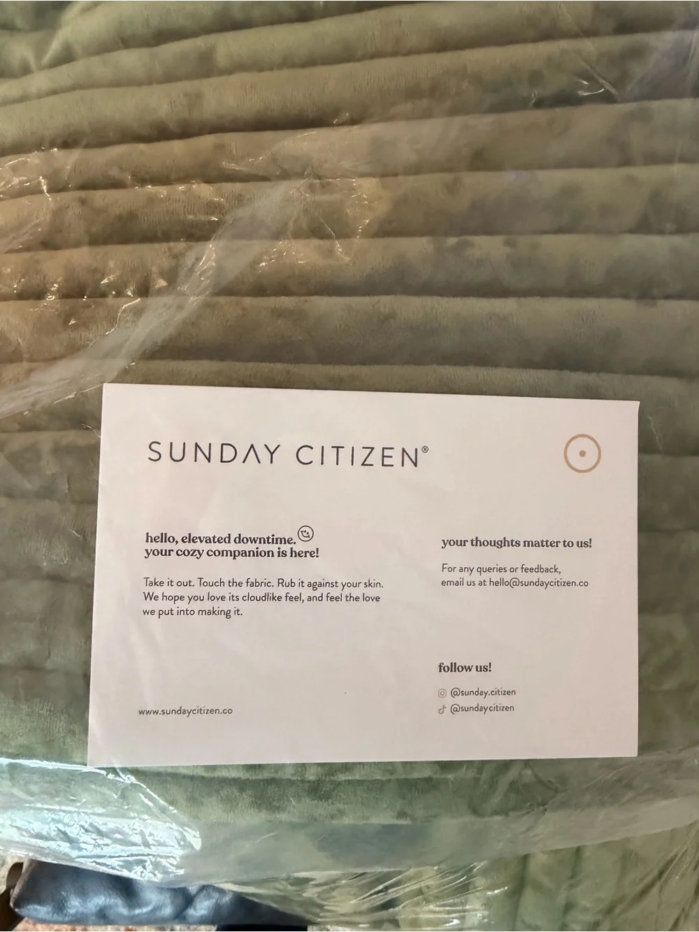 Sunday Citizen Olive Leaf Velvet & Bamboo Queen Quilt & 2 STD Shams Set.